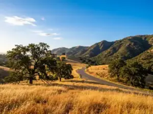 Squaw Valley and Centerville